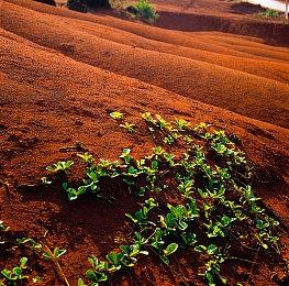 《鬼灭之刃 火神血风谭》游郭编角色包今日发售